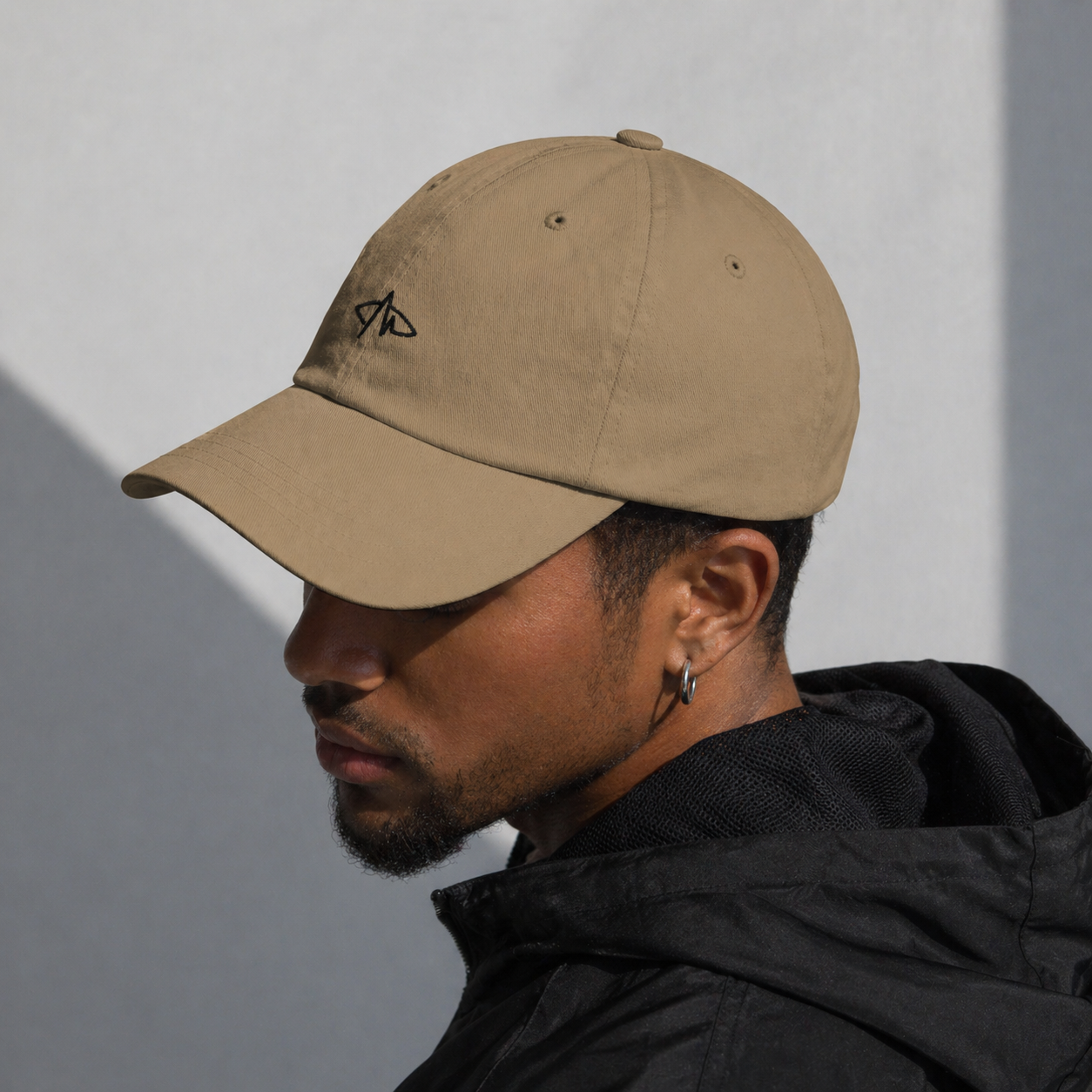 NVISN Logo Hat